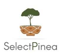 SelectPinea – Desenvolvimento de marcadores genéticos para características de interesse em Pinheiro manso (Pinus pinea)