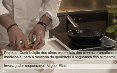 OS ÓLEOS ESSENCIAIS E OS ALIMENTOS BY PROF. MIGUEL ELIAS (JAN. 2018)