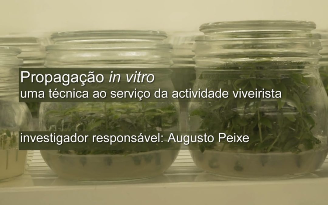 PROPAGAÇÃO IN VITRO DE PLANTAS BY PROF. AUGUSTO PEIXE (JAN. 2018)