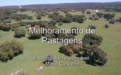 MELHORAMENTO DE PASTAGENS BY PROF MÁRIO DE CARVALHO (DEZ. 2017)