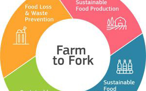 Launch by the EU of two important strategies – Biodiversity Strategy and Farm to Fork Strategy