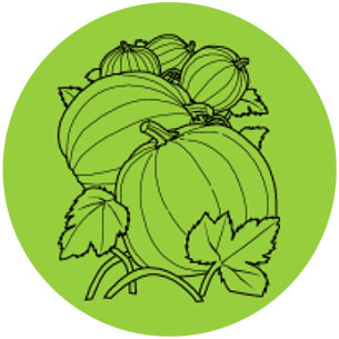 ICONS-LINHAS-TEMATICAS_0000_HORTICULTURA