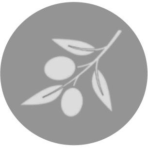 ICONS-LINHAS-TEMATICAS_0007_OLIVAL