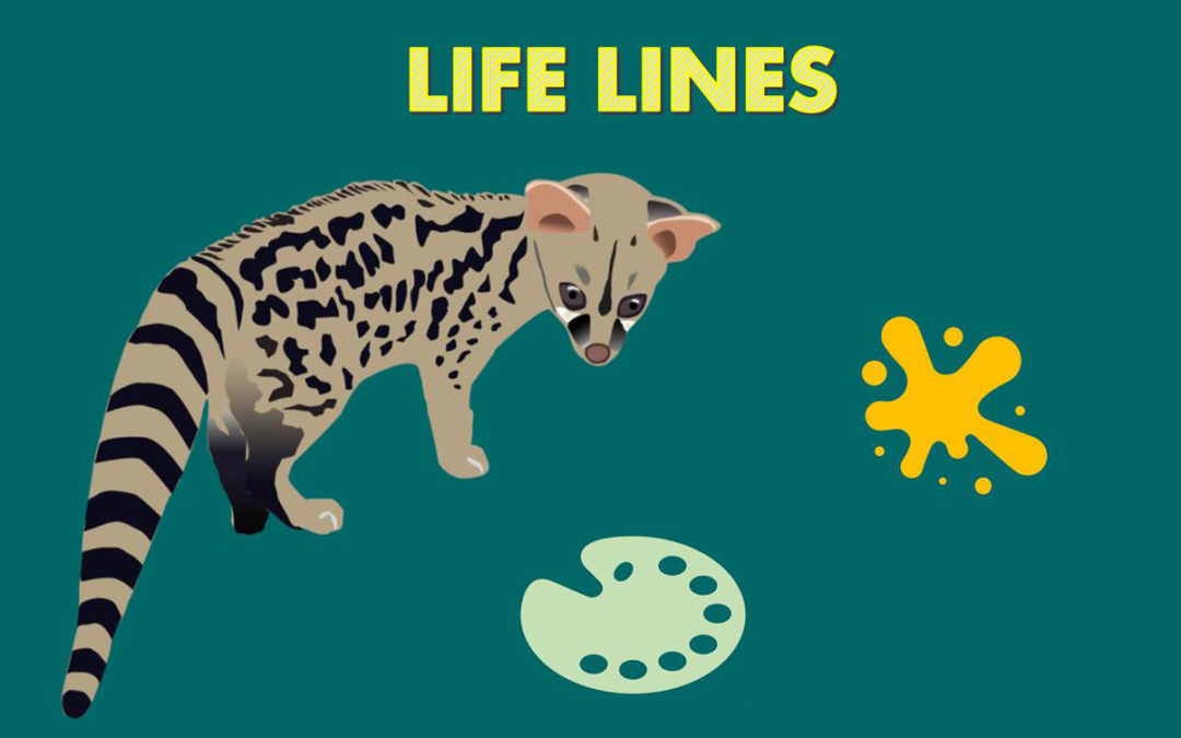 Concurso de Desenhos “O Projeto LIFE LINES”