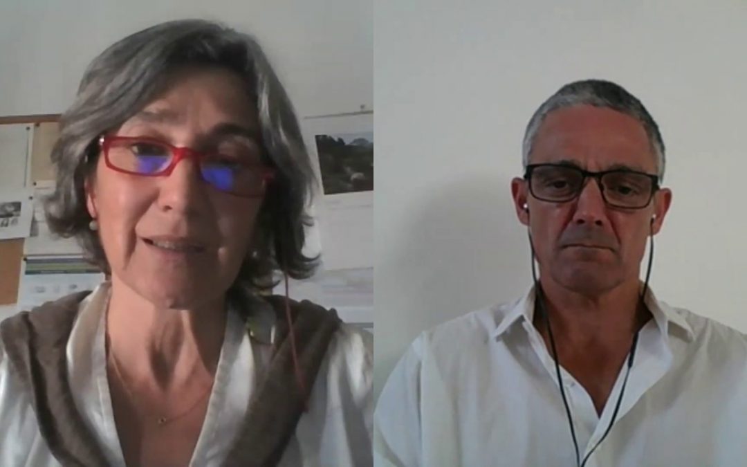 Entrevista com Teresa Pinto-Correia, sobre o projecto SALSA