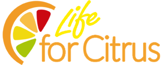 LIFE Vida for Citrus “Development of sustainable control strategies for citric under threat of climate change & preventing entry of HLB in EU”