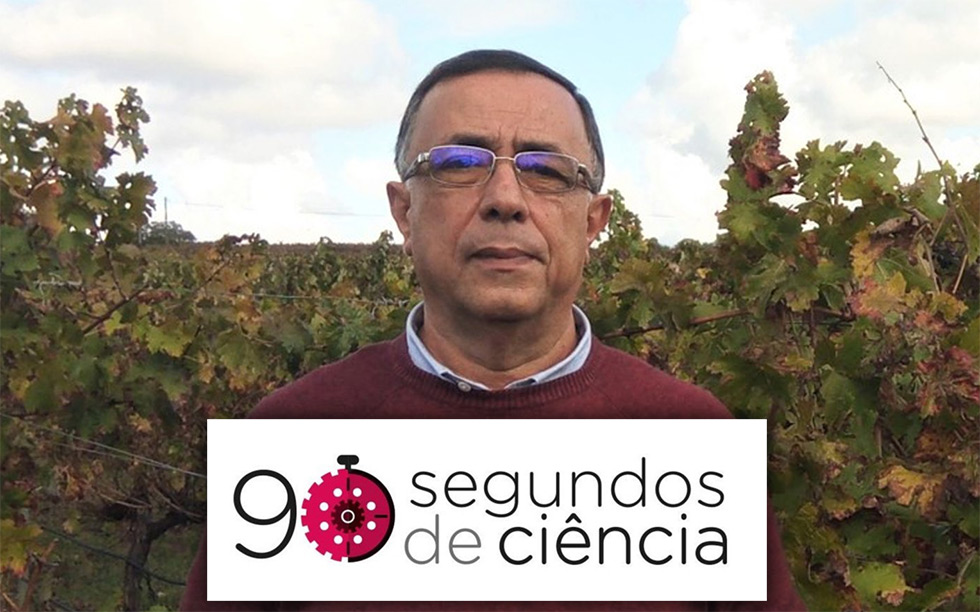 Prof. Augusto Peixe, da Univ. de Évora e investigador MED no 90 segundos de ciência