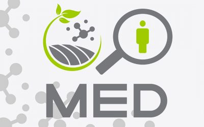 International Contest Assistant Researcher – Biological Sciences (Advanced Modeling)