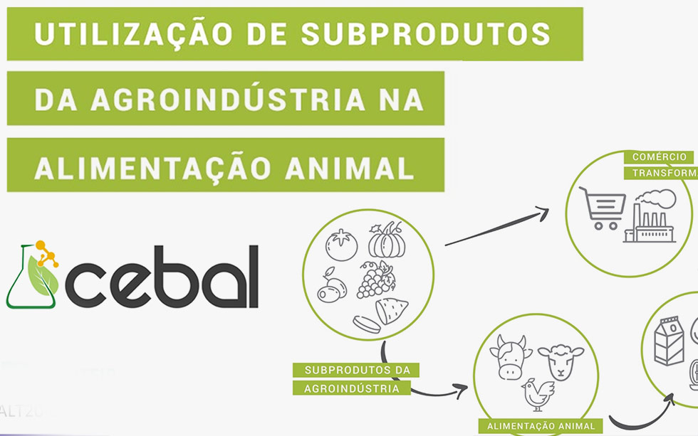 CEBAL promove inquérito online