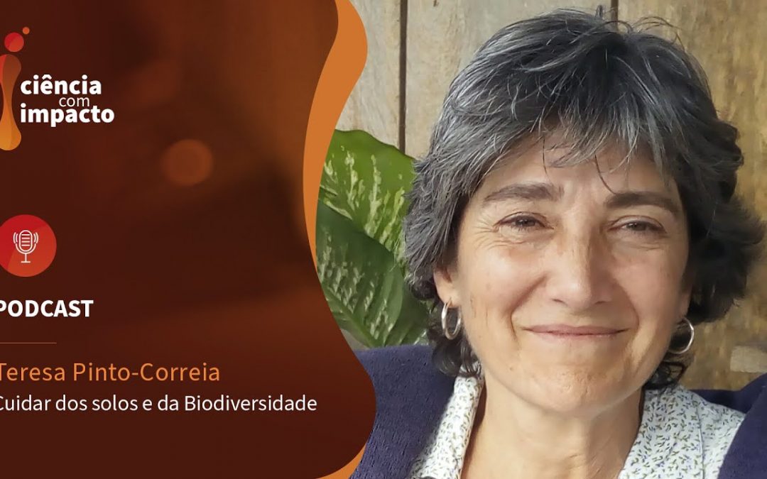 Teresa Pinto Correia, diretora do MED, no Ciência com Impacto | Lei europeia para defesa dos solos é urgente