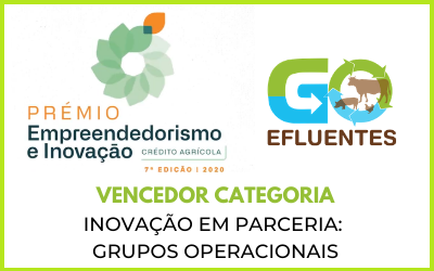 Destaque Membros MED | 7º Prémio Empreendedorismo e Inovação do CA