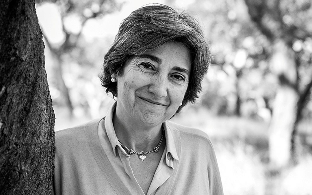 Teresa Pinto Correia, Diretora do MED, nomeada para o Conselho Nacional de Ciência, Tecnologia e Inovação