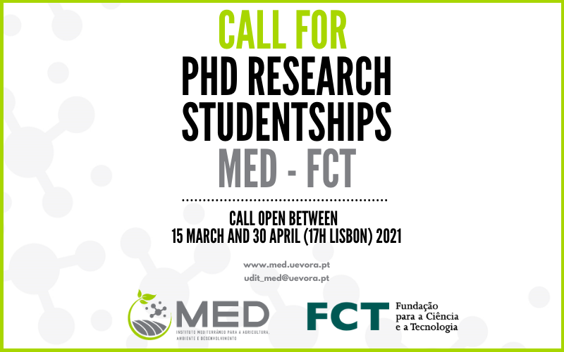 Call for PhD Research Studentships MED – FCT