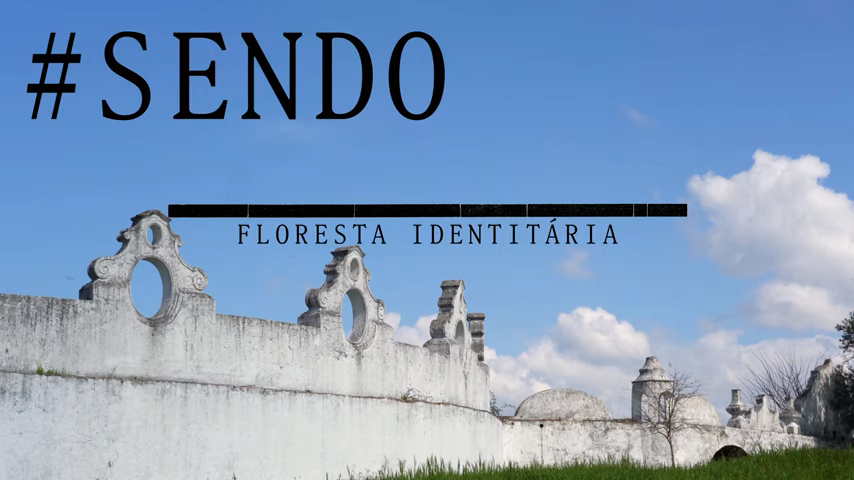 #SENDO​… Floresta Identitária – O MED na iniciativa “Évora 2027 Cidade Candidata a Capital Europeia da Cultura”