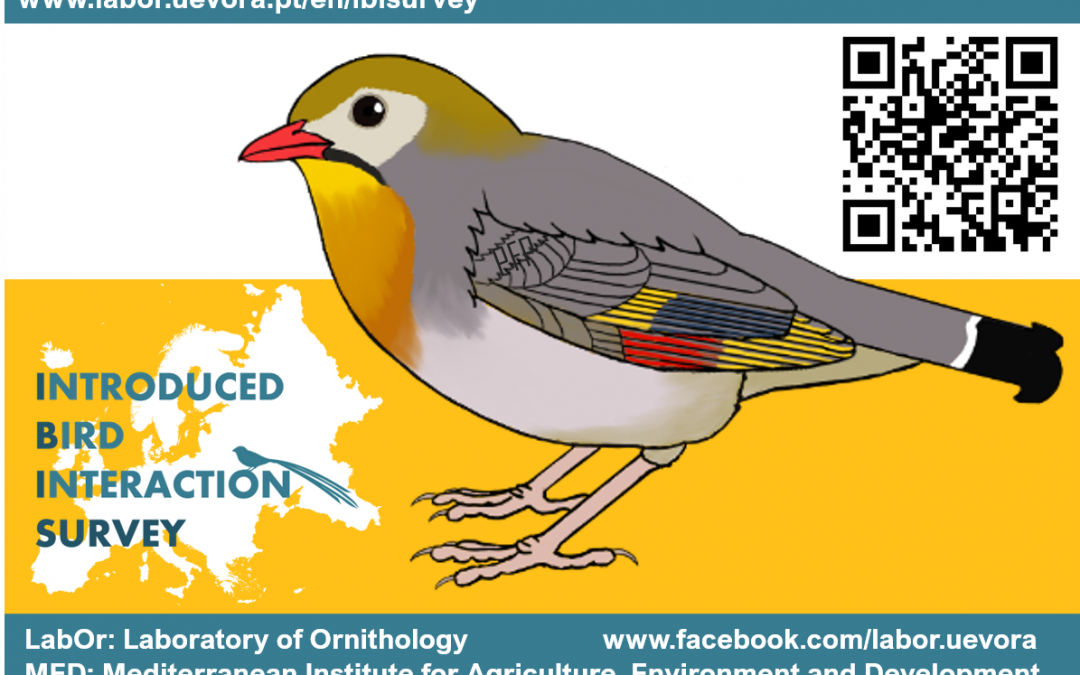 Novo Projeto MED | IBISurvey: Questionário sobre Interacções com Aves Introduzidas”