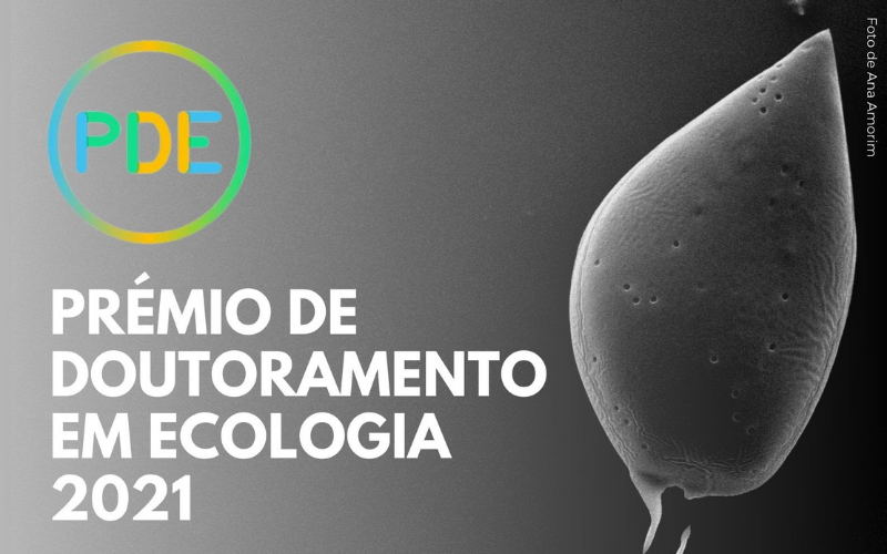 SPECO | Prémio de Doutoramento em Ecologia 2021