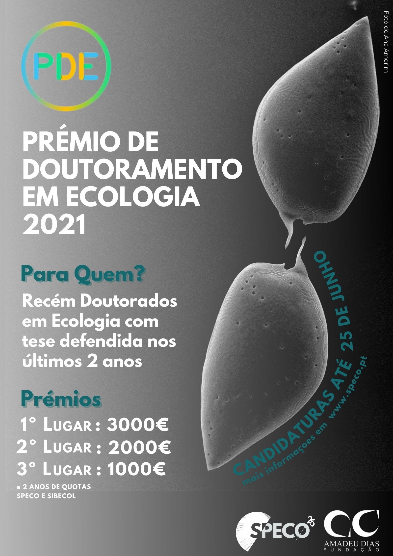 SPECO_premio