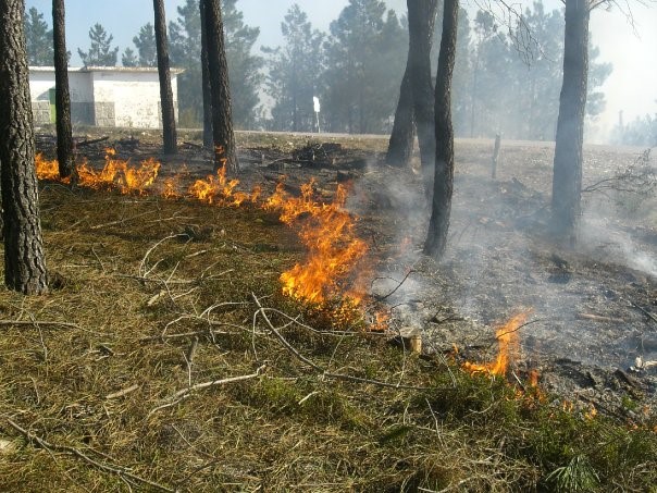 MED vê aprovado o FIREPOCTEP, projeto INTERREG para o Fortalecimento dos sistemas transfronteiriços de prevenção e extinção de incêndios florestais e melhoria dos recursos para a geração de empregos rurais pós-Covid-19