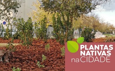 Plantas Nativas na Cidade