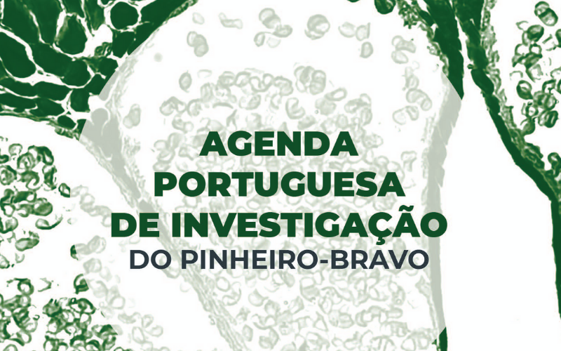 Agenda Portuguesa de Investigação do Pinheiro-Bravo