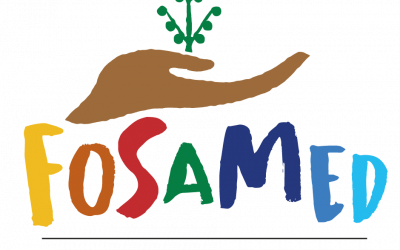 FoSaMed project is looking for an external evaluator
