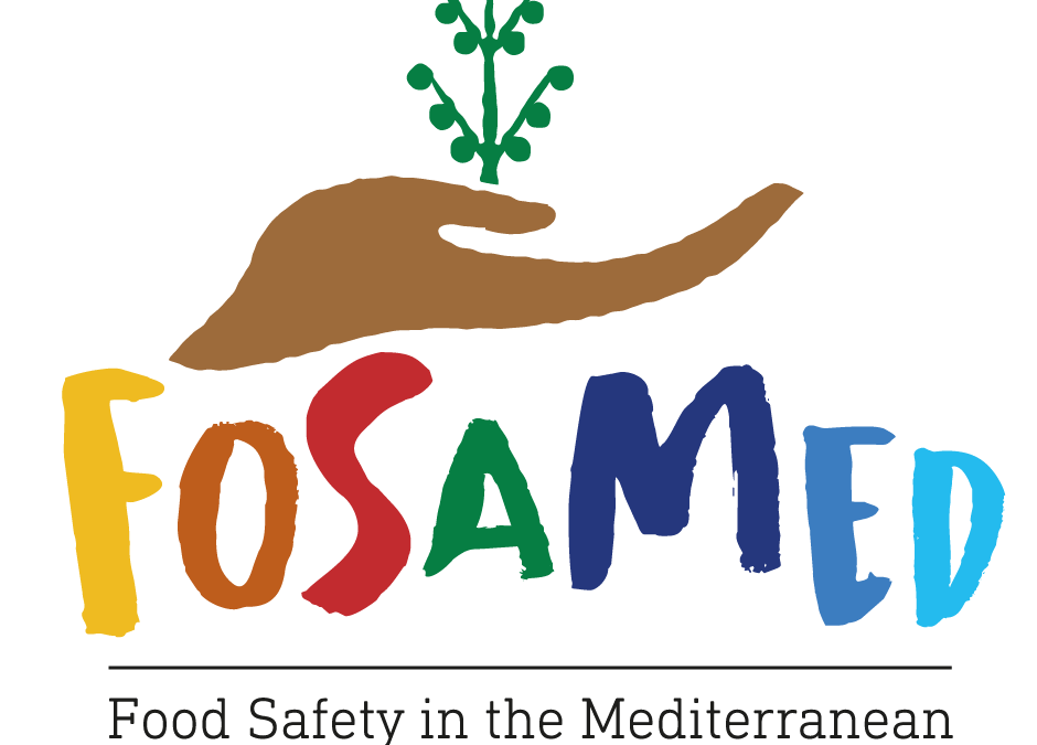 FoSaMed project is looking for an external evaluator