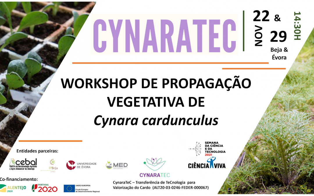 22&29 NOV | Workshop de Propagação Vegetativa de Cynara Cardunculus