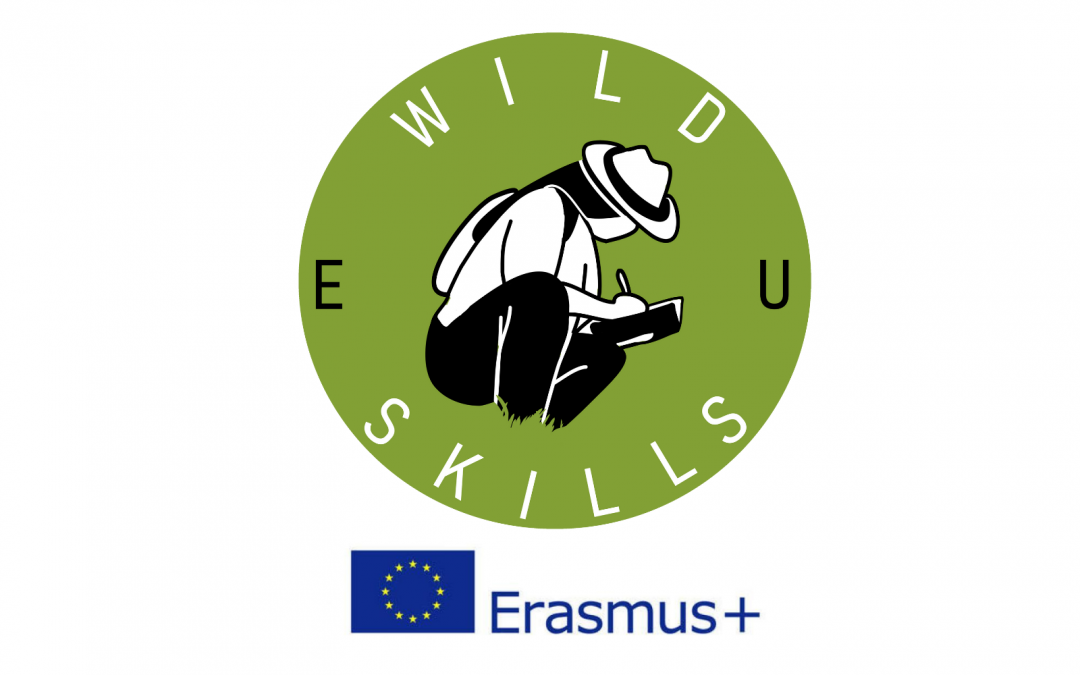 De estudantes, para estudantes | Sessão virtual do projeto WildSkills EU (Erasmus+)