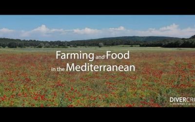 Farming and Food in the Mediterranean by DIVERCROP Project