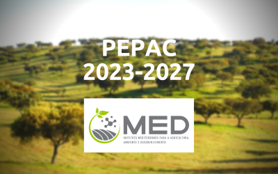 MED participou na consulta pública sobre o PEPAC
