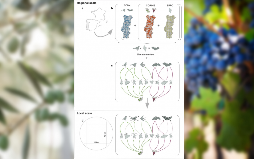 Investigadores do MED publicam artigo na Nature