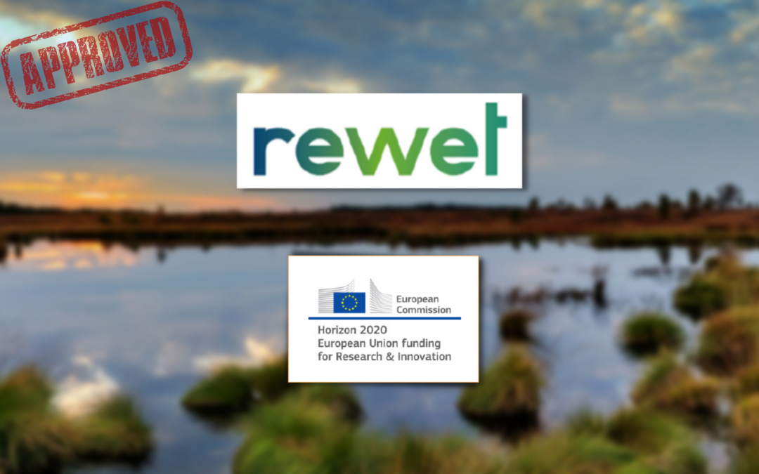 MED – UÉvora é parceiro em projeto Horizonte Europa sobre restauro de zonas húmidas terrestres