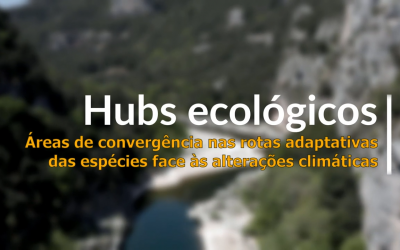 Hubs ecológicos: Áreas de convergência nas rotas adaptativas das espécies face às alterações climáticas