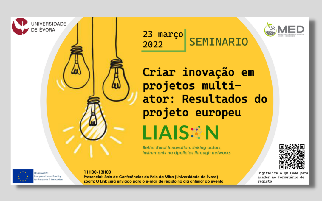 Seminário “Criar inovação em projetos multi-ator: Resultados do projeto europeu LIAISON”