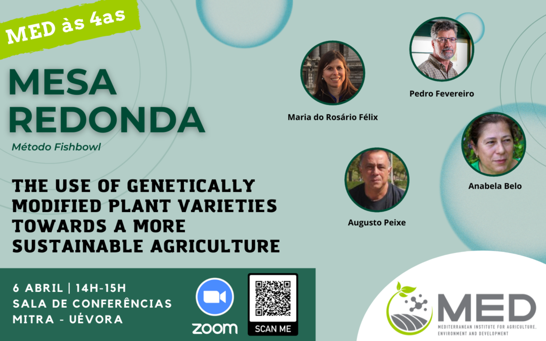 MED às 4as – Mesa Redonda “The use of genetically modified plant varieties towards a more sustainable agriculture”