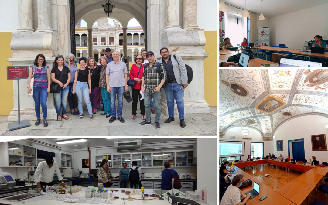 Universidade de Évora recebeu a reunião dos parceiros do projeto FoSaMed