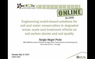 Engineering mulch-based solutions for soil and water conservation in degraded areas
