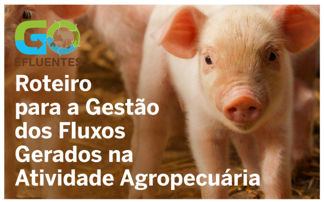 Roteiro para a Gestão dos Fluxos Gerados na Atividade Agropecuária