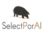 SelectPorAl - Seleção e melhoramento genómico de características produtivas do Porco Alentejano