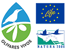 LIFE Olivares Vivos + - Increasing the impact of Olivares Vivos in the EU