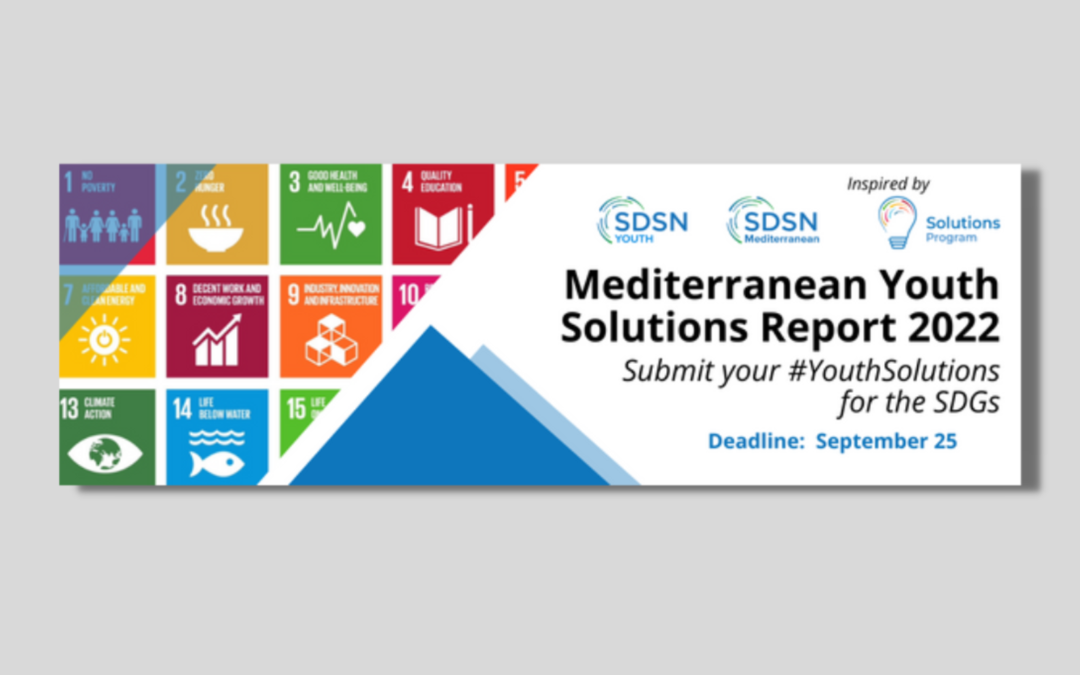 Mediterranean Youth Solutions Report 2022 – Call for projects