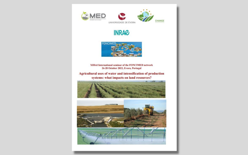 XIIIrd International seminar of the FONCIMED network [Atualização]