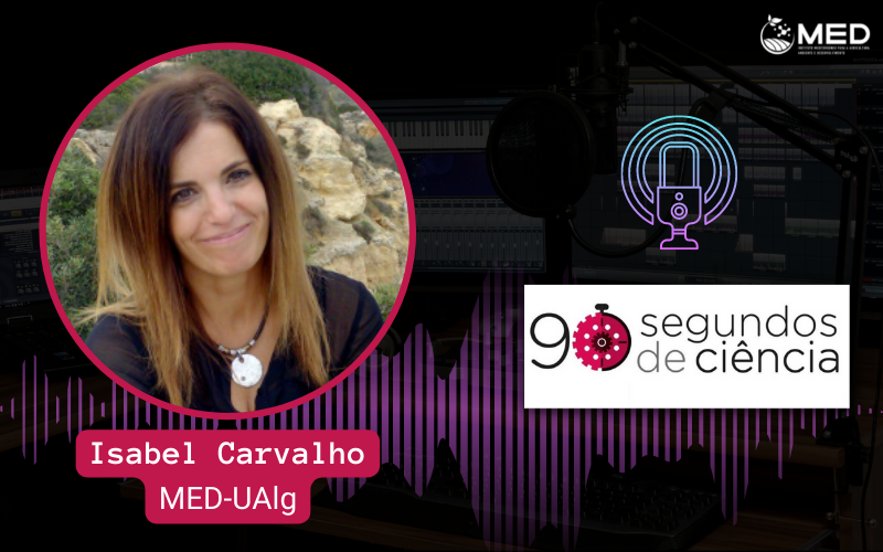 90 segundos de ciência | Isabel Carvalho fala sobre o uso de extratos de plantas e algas para o tratamento da diabetes