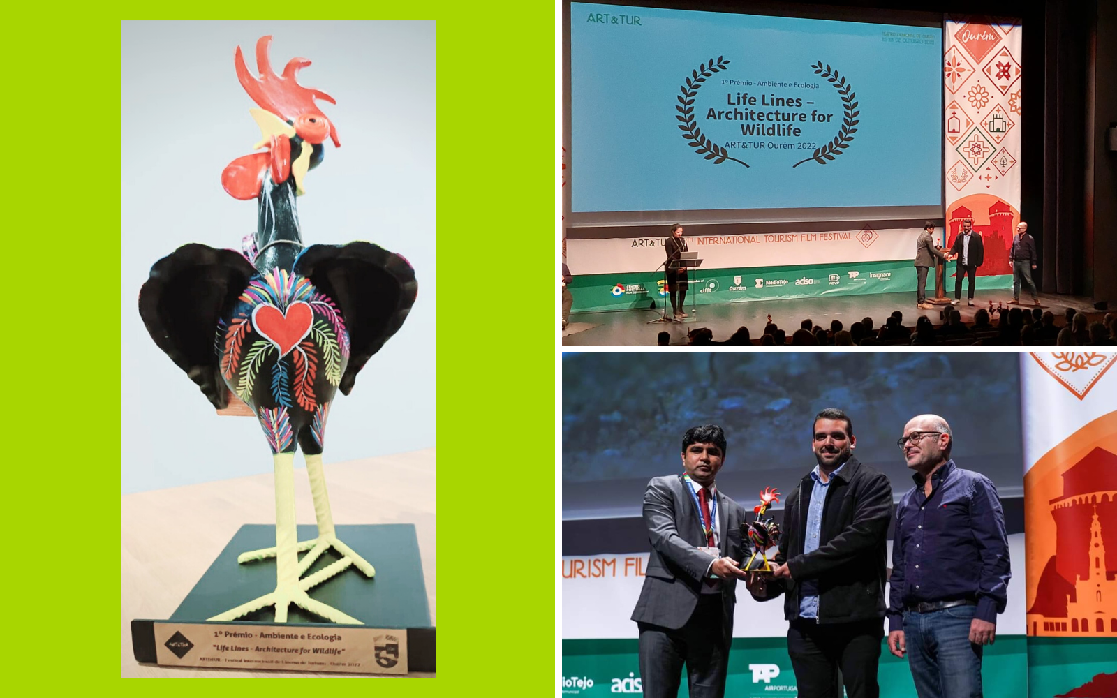 premio documentario MED