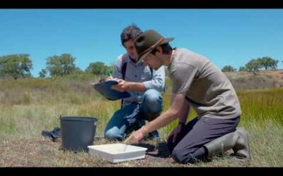 Documentary “LIFE LINES – Aquitecture for wildlife”