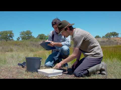 Documentary “LIFE LINES – Aquitecture for wildlife”