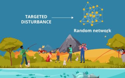 Human disturbances affect the topology of food webs