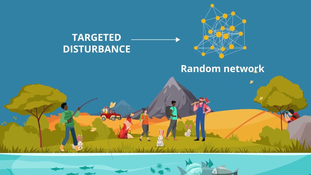 Human disturbances affect the topology of food webs Biology Diagrams