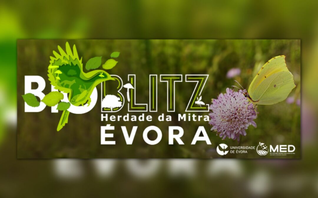 5&6 MAY | First BioBlitz at Herdade da Mitra