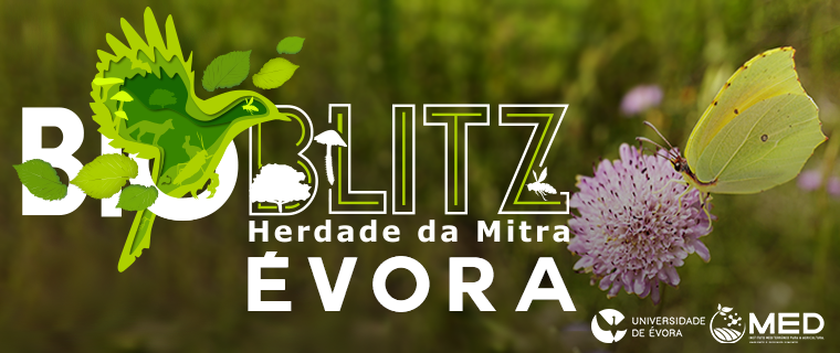Banner_iNaturalist